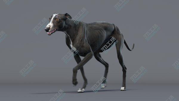 images/goods_img/20210312/Greyhound 3 Animated model/4.jpg